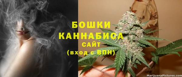 СК Аркадак