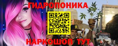 индика Пушкино
