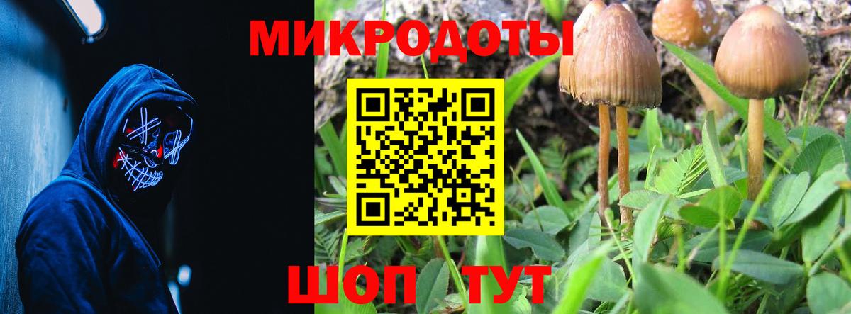 Галлюциногенные грибы мухоморы Обнинск